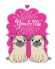 Greeting Card with funny Pug