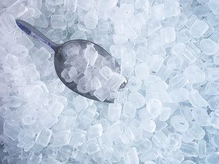 ice cubes and stainless ice scoop