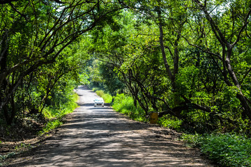 Obraz premium Beautiful Road