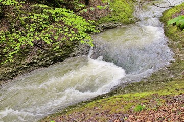 Wildbach im Appenzeller Land