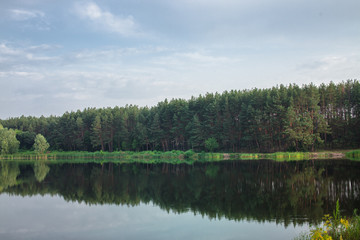 Fototapeta na wymiar Forest on the river bank.