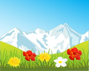 Snow mountains and glade with flower