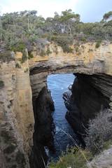 Tasman Arch - Tasmanien