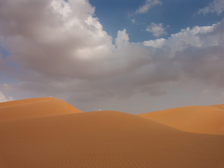 Fototapeta na wymiar wavy dunes and cloudy skies