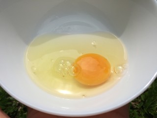 Raw egg in white bowl