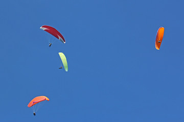 Paragliders