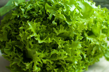 Raw organic green frisee salad close up.