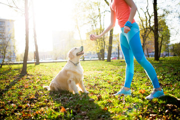 Young woman trains labrador dog