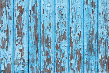 Old wooden fence with shabby blue paint