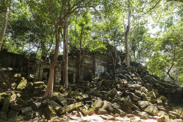 Fototapeta na wymiar Beng Mealea, Siem Reap, Combodia