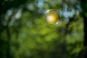 Soap bubbles on a green background