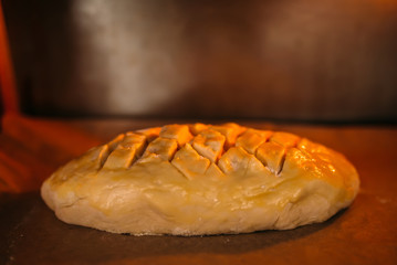 Electric mini oven for homemade bread cooking