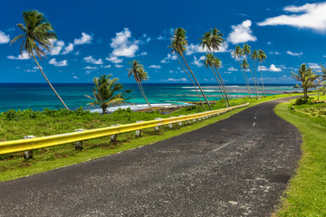 Coastal road lined with palm trees, overlooking tropical ocean, Samoa