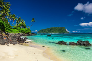 Vibrant tropical Lalomanu beach on Samoa Island with coconut palm trees - obrazy, fototapety, plakaty