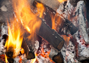 wood in fire