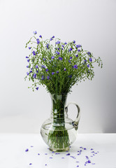 Wild flowers. Springtime.