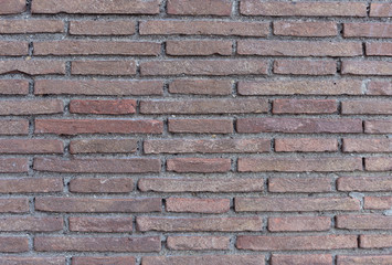 Obraz premium texture