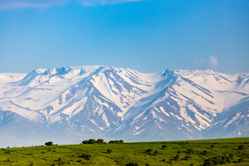 Fototapeta premium Beautiful landscape of nature in the Tien Shan mountains