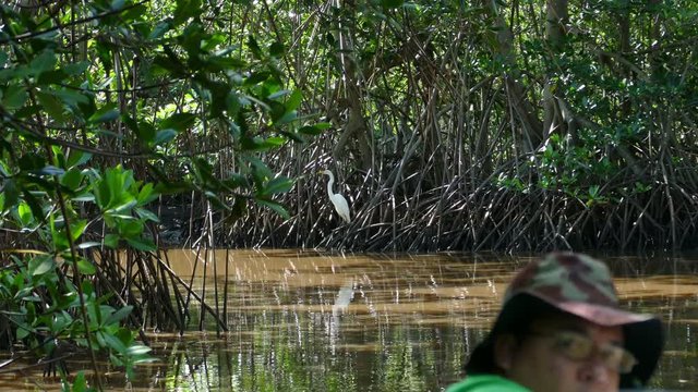 Cruising the mangroves of Juan Venado Island Nature Reserve