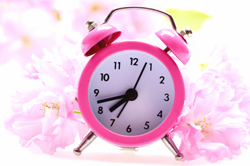 Clock of pink colour placed among pink blossom of sakura