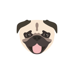 Pug dog icon isolated on white background. Animal vector illustration.