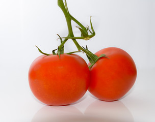 Tomaten isoliert auf weissem Hintergrund 