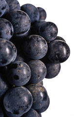 Dark bunch of grape in low light on white isolated background , macro shot , water drops