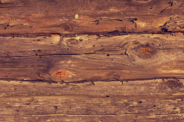 old wood texture/ pine wooden logs with traces of damage by bark beetle