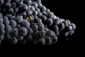 Dark bunch of grape in low light on black isolated background , macro shot , water drops