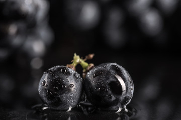 Dark bunch of grape in low light on black isolated background , macro shot , water drops