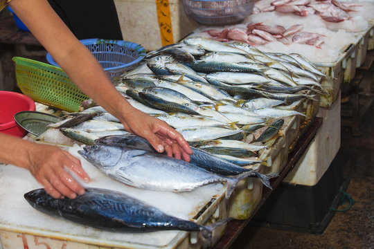 Fresh fish at a food market