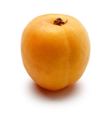 Apricot