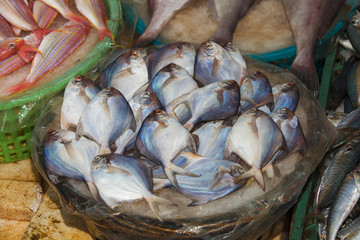 Fresh fish at a food market