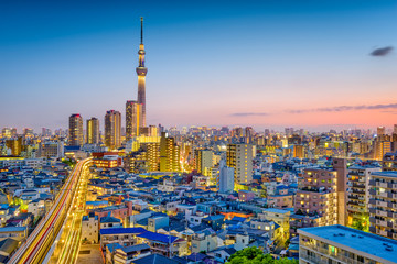 Fototapeta na wymiar Tokyo, Japan Skyline