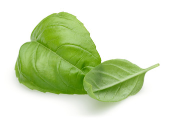 Basil