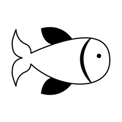 fish animal isolated icon vector illustration design