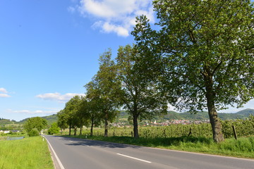B3 Nähe Hirschberg an der Bergstraße