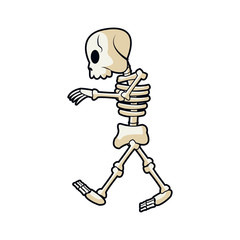 cartoon skeleton bones mystery fairy tale vector illustration