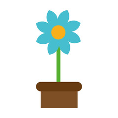 beautiful flower in a pot icon over white background. colorful design. vector illustration