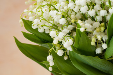 Lilies of the valley bouquet closeup