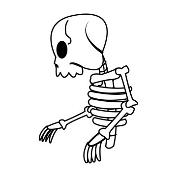 cartoon skeleton bones mystery fairy tale vector illustration