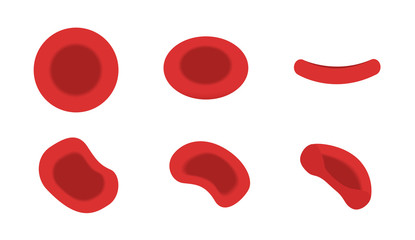 red blood cell vector icon