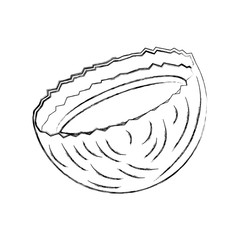 tropical coconut cocktail icon vector illustration design