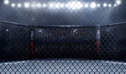 Empty mma arena side view under lights. complete tribune. 3D rendering