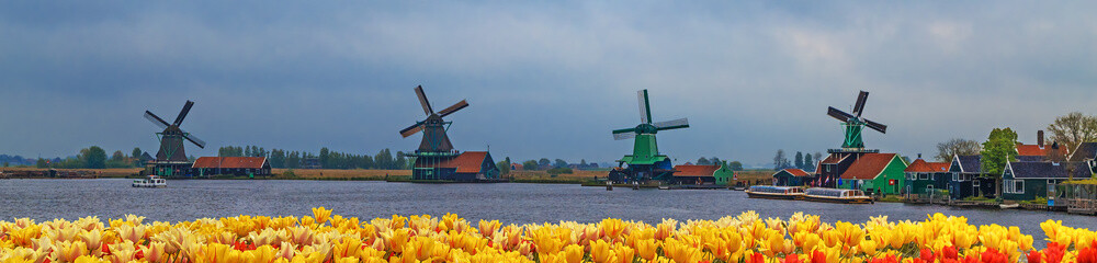 Windmills of Zaanse Schans, Netherlands. - obrazy, fototapety, plakaty
