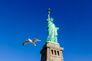 Fototapeta premium Pigeon in front of Statue of Liberty at perfect weather conditions blue sky copper