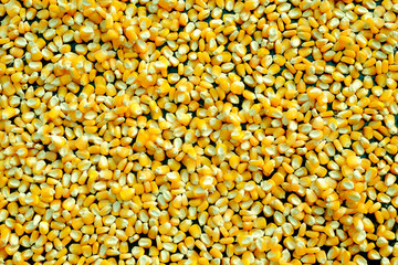 top view of pattern corn kernels concept for vegetable foods; healthy