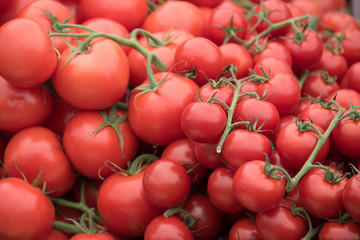 Assorted Tomatoes at Naschmarkt, Vienna
