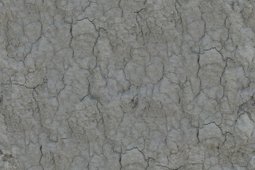 Seamless texture of soil and dirt. Seamless texture on the ground texture.