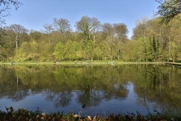 Fototapeta na wymiar Reflet de la nature de la forêt de Soignes sous un ciel bleu au printemps dans l'étang du Moulin près de l'abbaye du Rouge-Cloître 